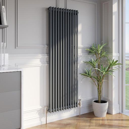 park-lane-traditional-vertical-colosseum-double-bar-column-radiator-anthracite-1600-x-560mm