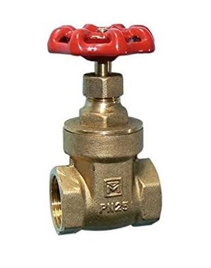 brass-female-gate-valves