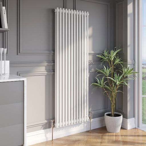 park-lane-traditional-vertical-colosseum-double-bar-column-radiator-white-1600-x-560mm