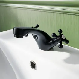 park-lane-oxford-black-basin-mixer-tap