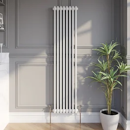 park-lane-traditional-vertical-colosseum-double-bar-column-radiator-white-1600-x-380mm