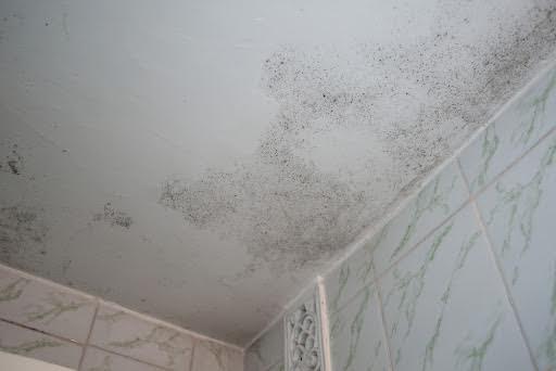 What Causes Mould In The Bathroom And How To Prevent It