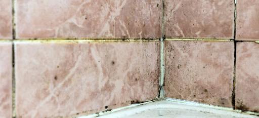 How to Tackle Mould and Mildew in the Bathroom